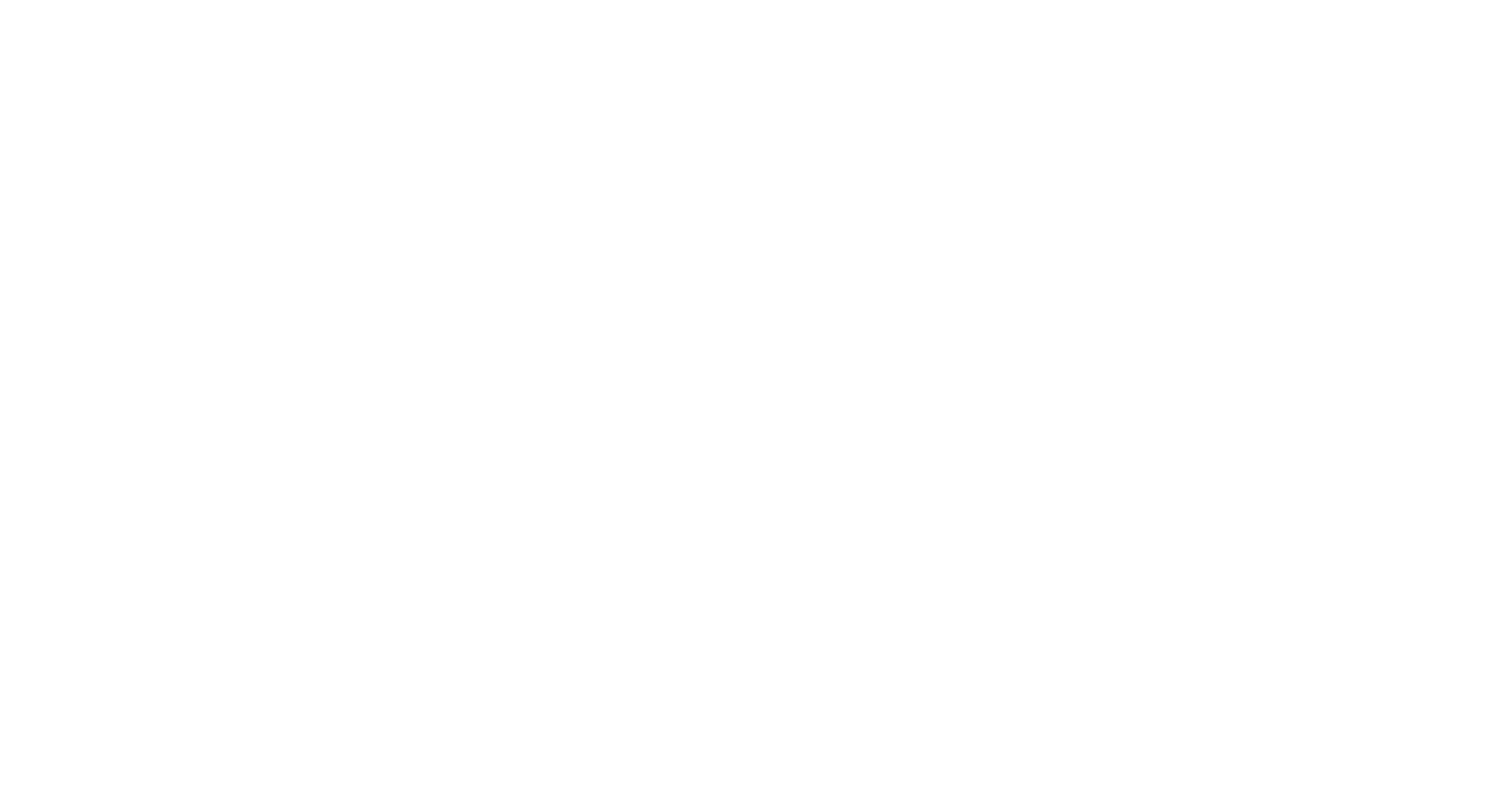 ANSMM logo